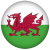 Wales (U19)