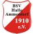 BSV Halle Ammendorf