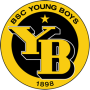 BSC Young Boys