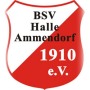 BSV Halle Ammendorf